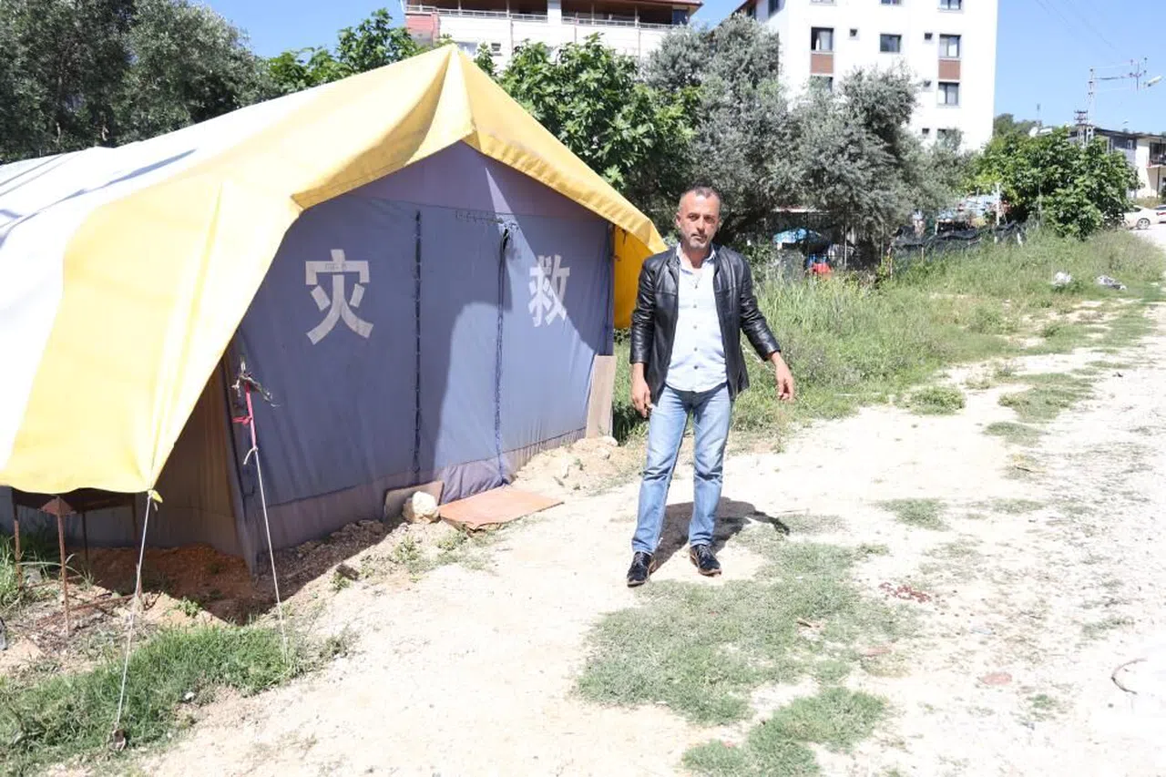 Aç kalan domuzları köpek maması ve yemek artıklarıyla besliyor