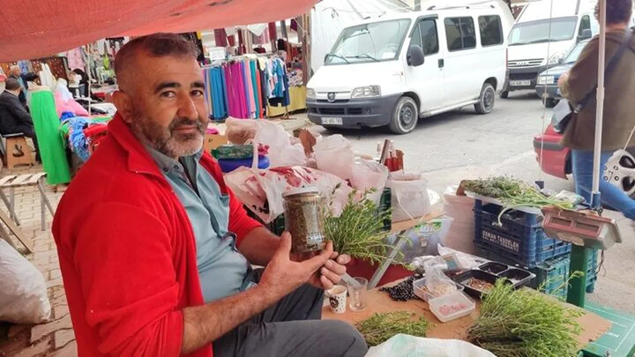 Dağlardan topladığı kekikler geçim kaynağı oldu