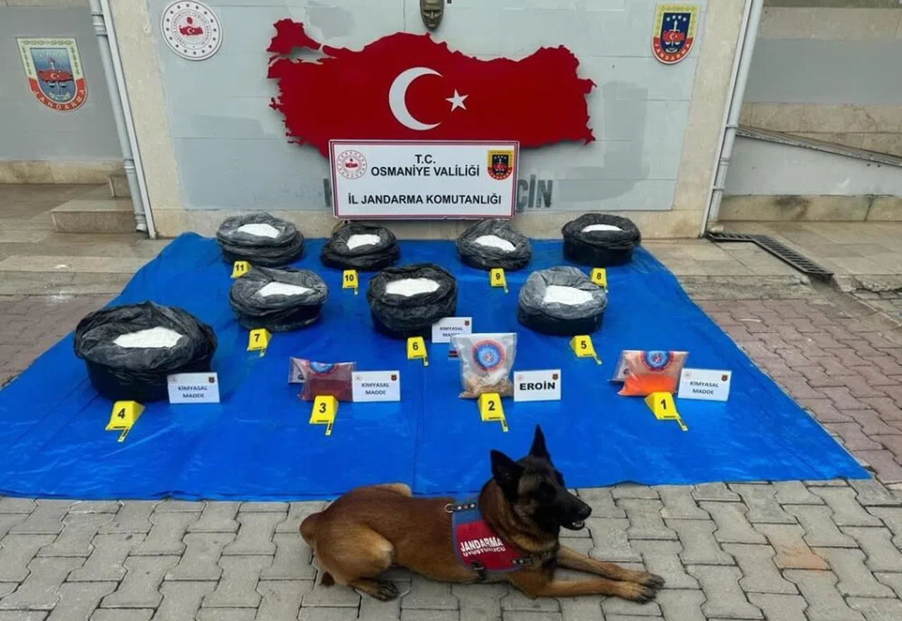 ağaçların altına gizlenmiş uyuşturucu madde ele geçirildi