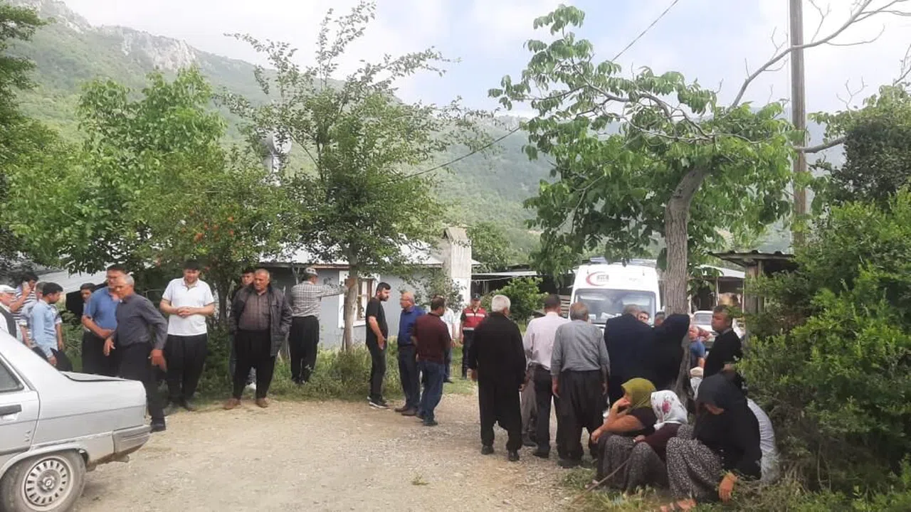 Silahla vurulmuş 3 ceset bulundu