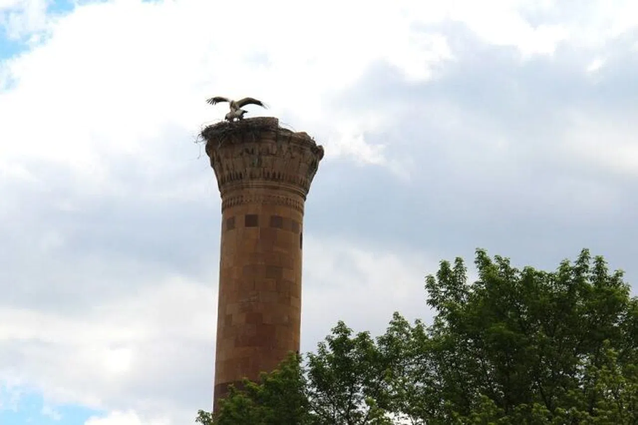 Depremde yarısı yıkılan minareye leylek yuva yaptı
