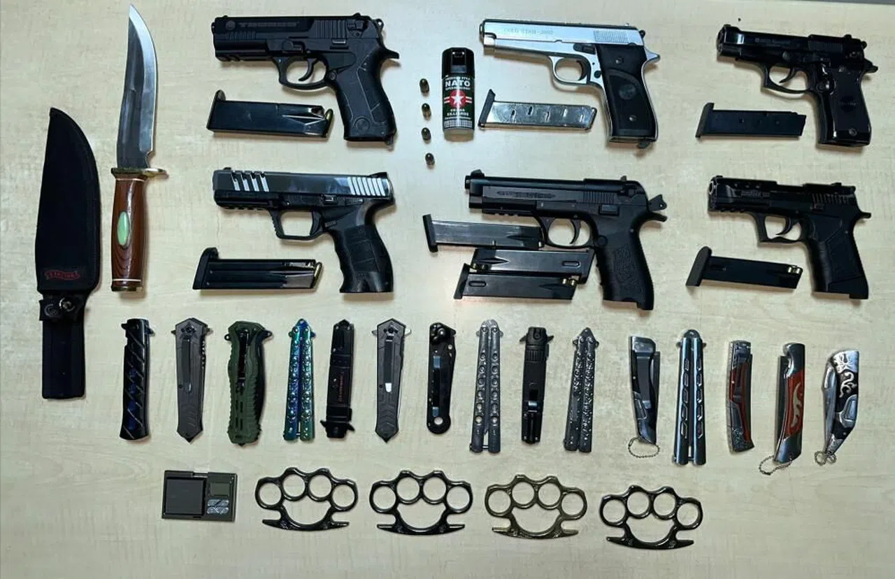 Adana polisi 251 suçluyu yakaladı