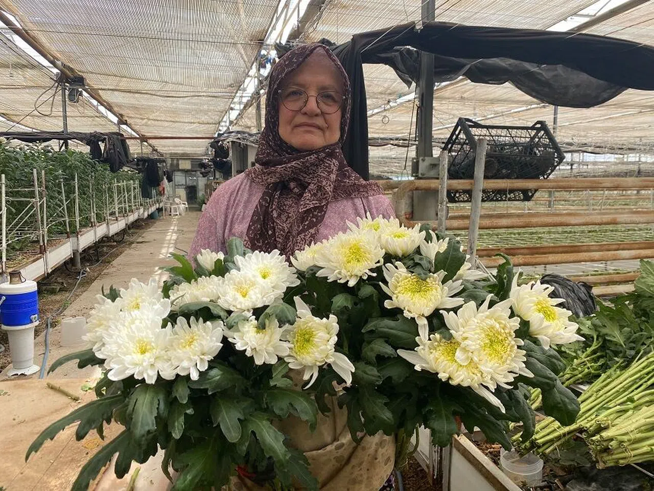 Çiçek üreticileri Anneler Günü'ne hazırlanıyor