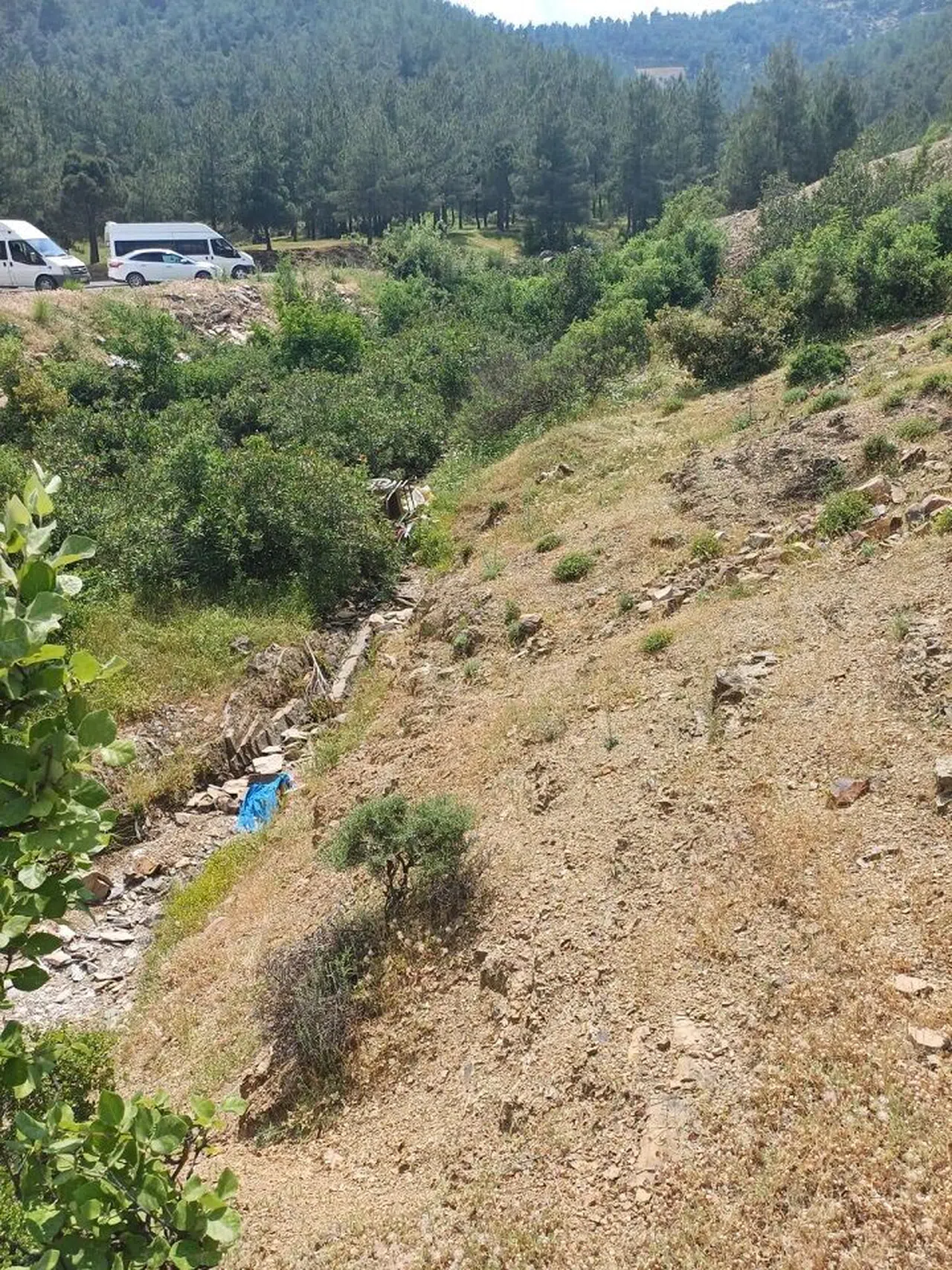 Kontrolden çıkan motosiklet dereye uçtu
