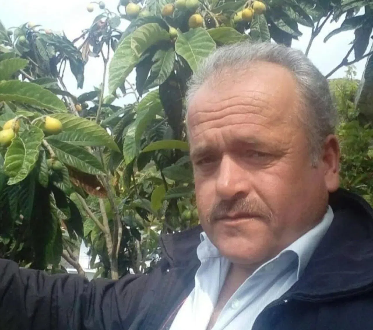 Fetullah Kaya'nın kullandığı motosiklet ormanlık alanda bulundu