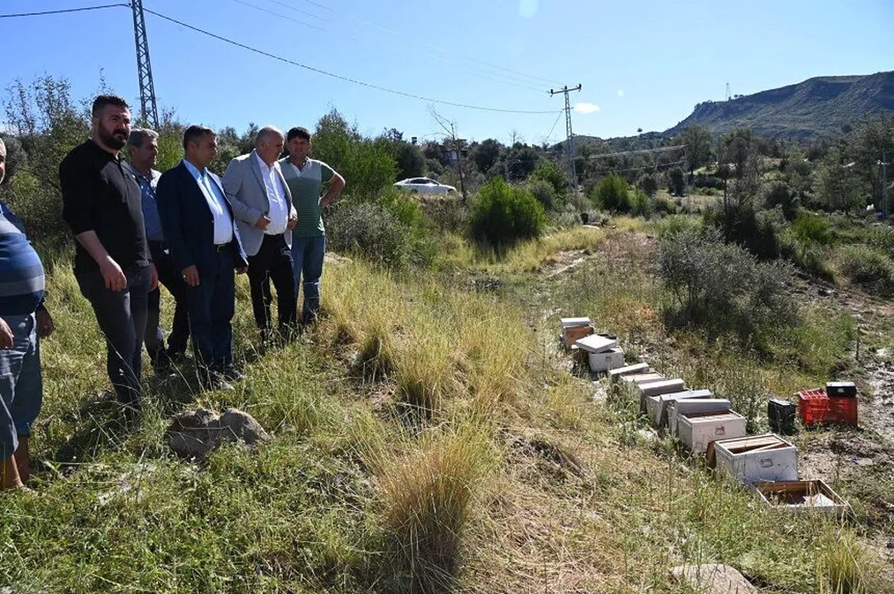 Fırtına ve dolu tarım alanlarını vurdu