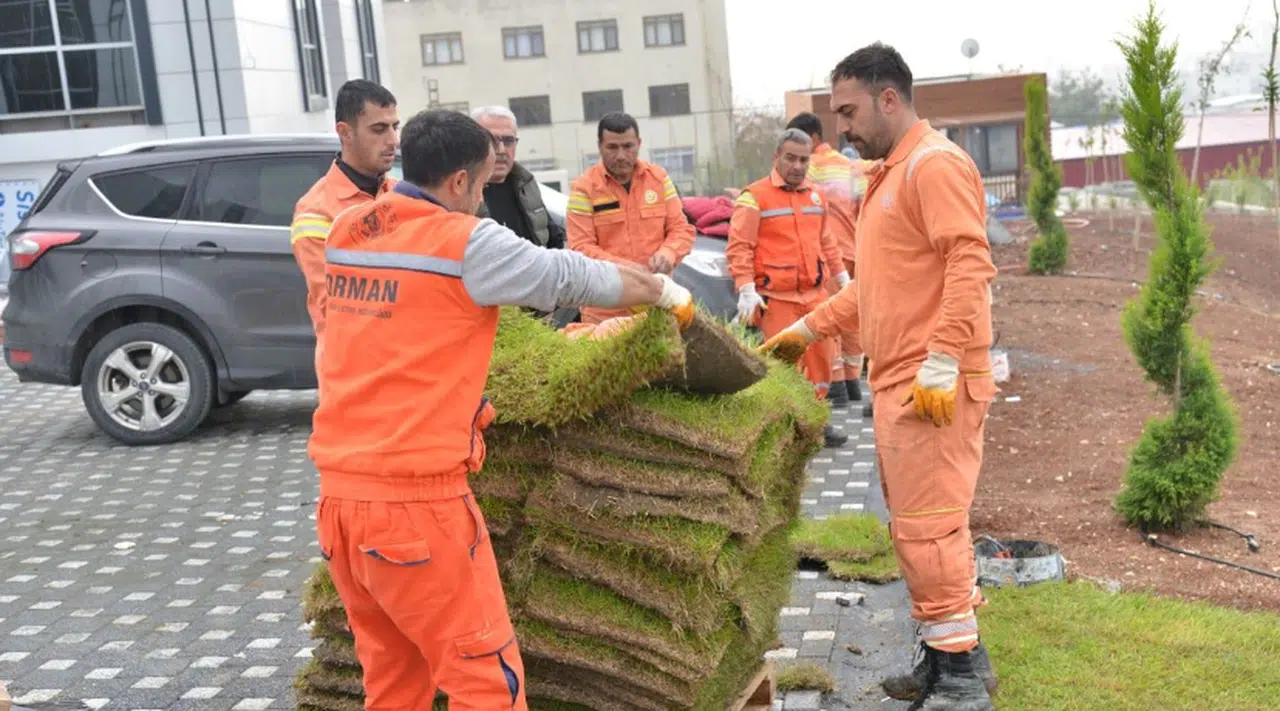 Hükümlüler, ormancılık faaliyetleri ile doğaya katkıda bulunuyor
