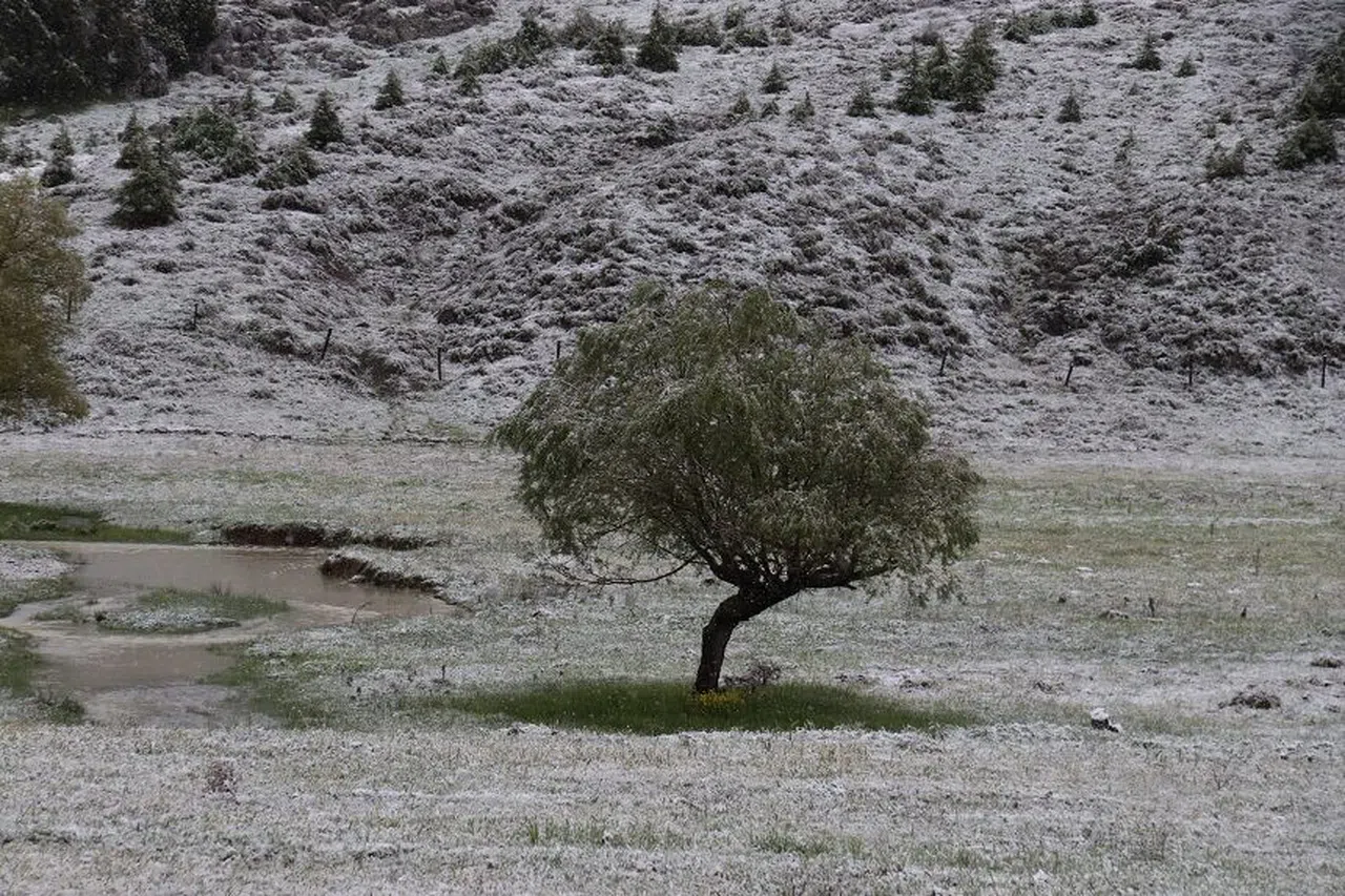 Kahramanmaraş Mayıs ayında beyaza büründü