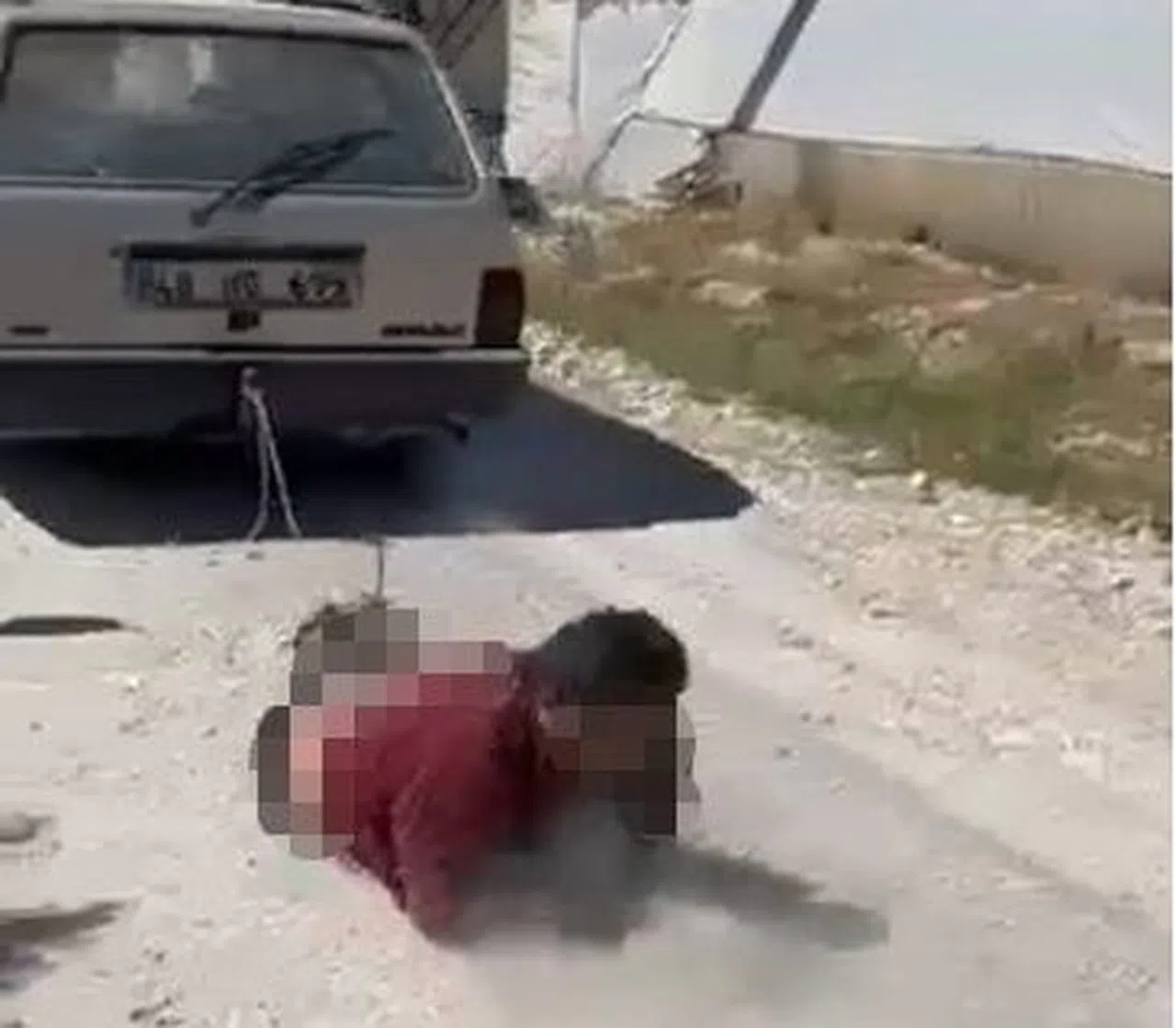 Köpeğe Zarar Veren Şahıs Tutuklandı