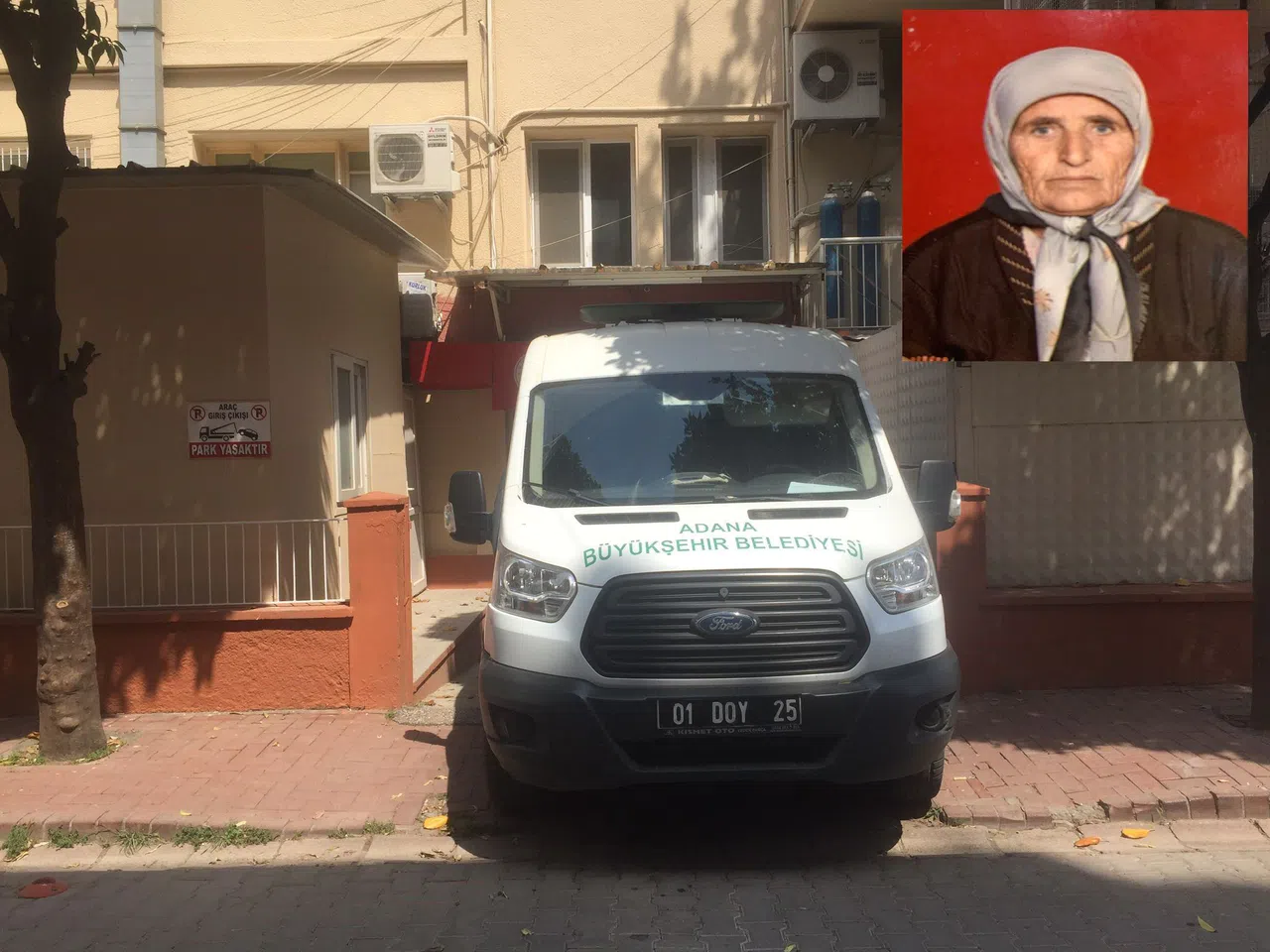 Köpek sürüsü yaşlı kadını parçaladı