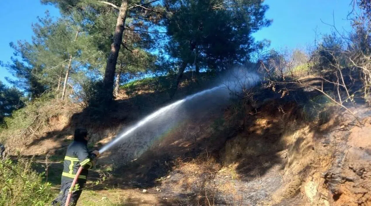 Ormanlık alanda çıkan yangın söndürüldü