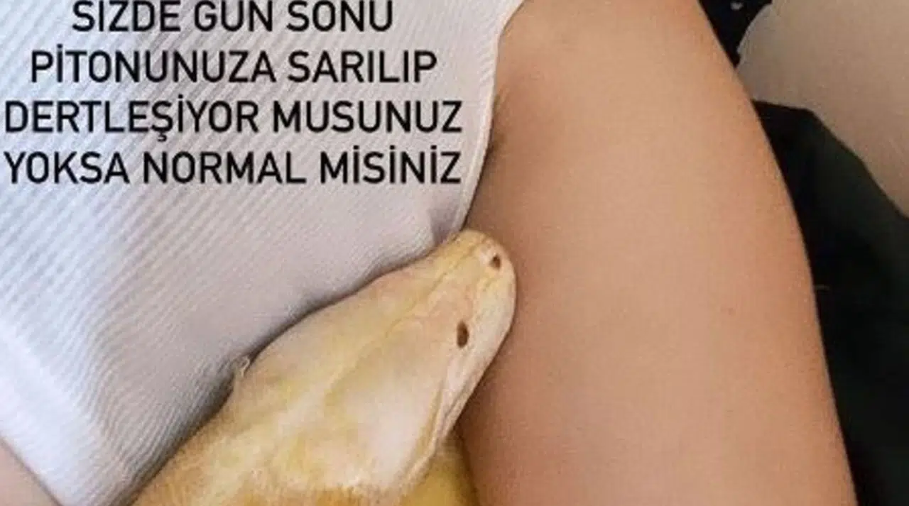 Pitonun geri verilmesini isteyen genç kız: "Evcil, zararı yok"