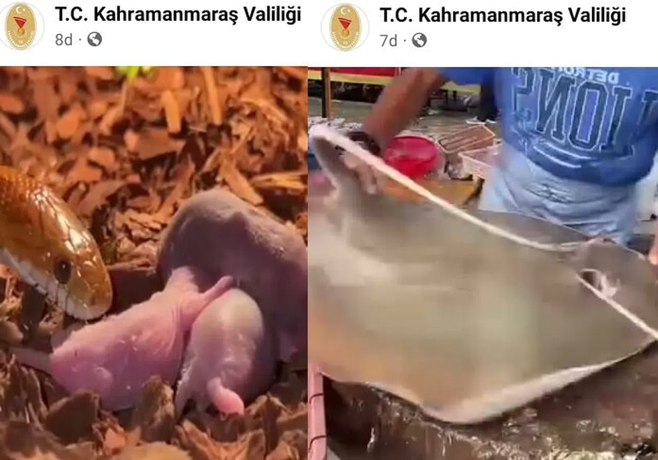 Kahramanmaraş Valiliği'nin sosyal medya adresini çaldılar
