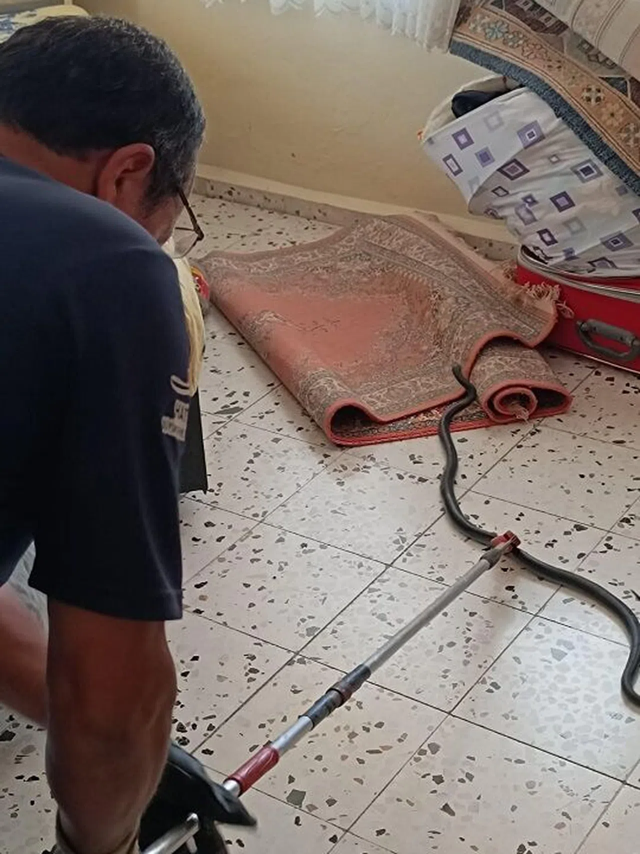 Hatay'da eve giren yılan korkuttu