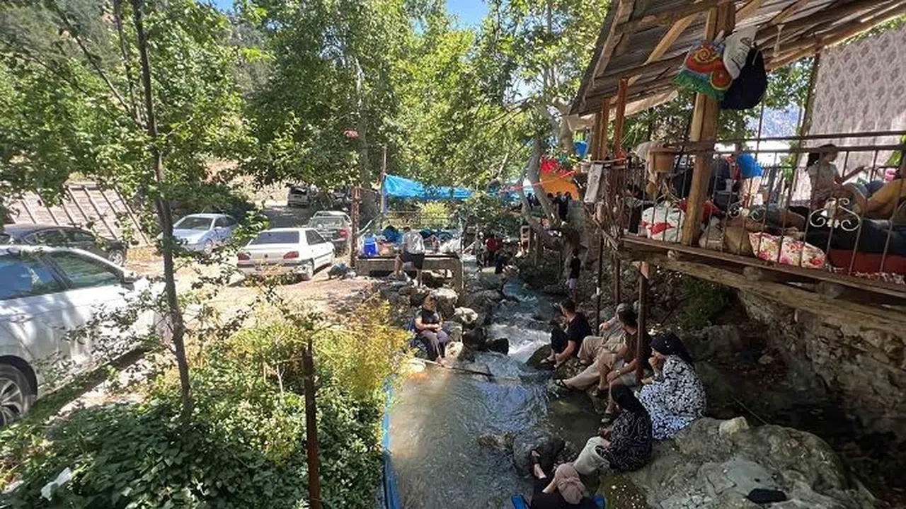 Kahramanmaraş’taki ‘ardıç suyu mesire alanı’ piknikçilerin uğrak yeri oldu