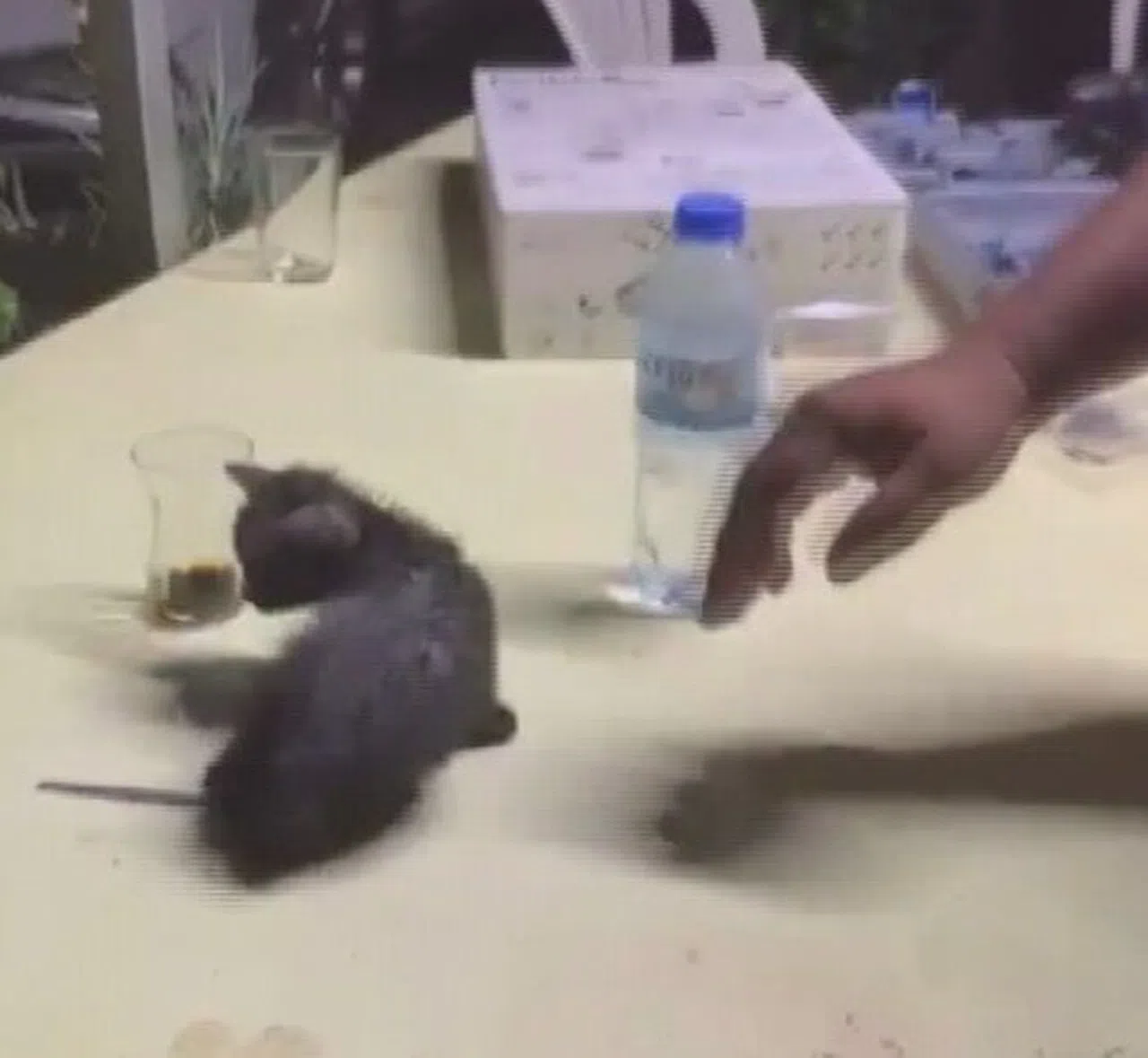 Su borusuna sıkışan yaramaz kedi, boru kesilerek kurtarıldı