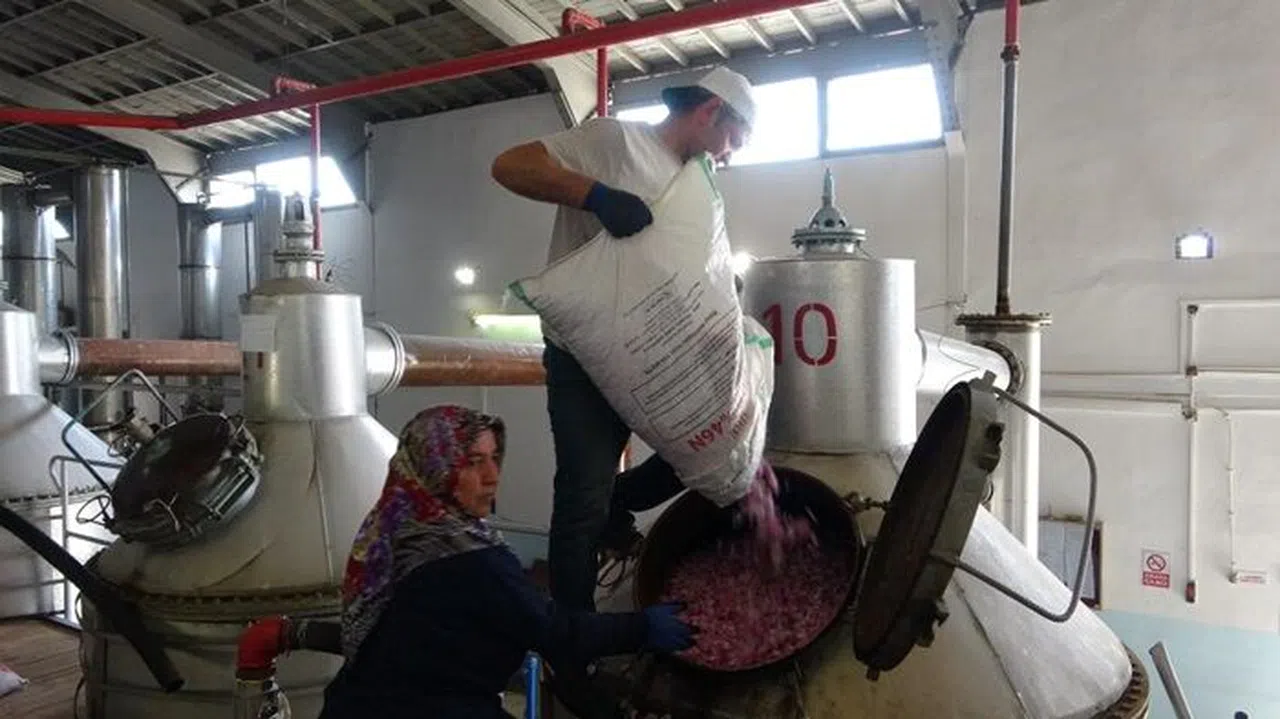 4 tondan sadece 1 litre çıkıyor, litresi 400 bin TL'yi buluyor