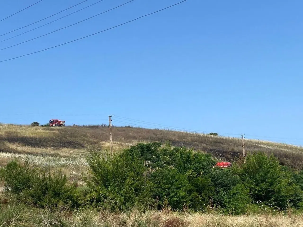 Çalı yangını, ormanlık alana sıçramadan söndürüldü