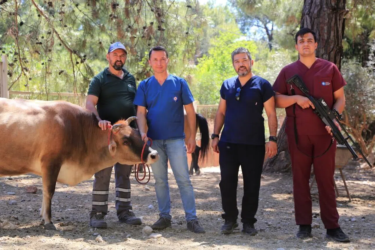 Firari kurbanlıkları yakalama timleri göreve hazır