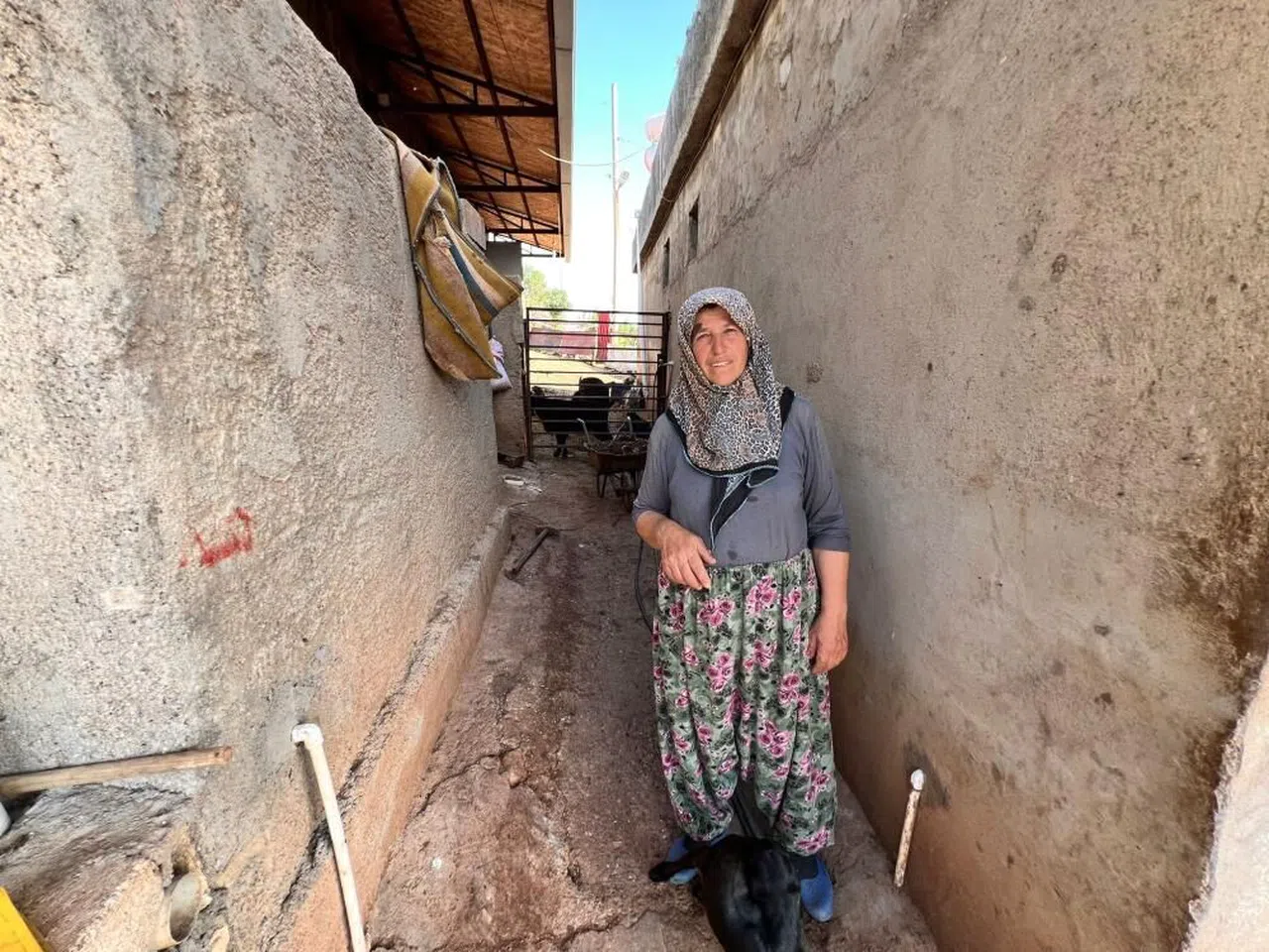 Kurbanlık satıcısı kadın: “Kurbanlıklar pahalı satılıyor bu kadar olmaz"