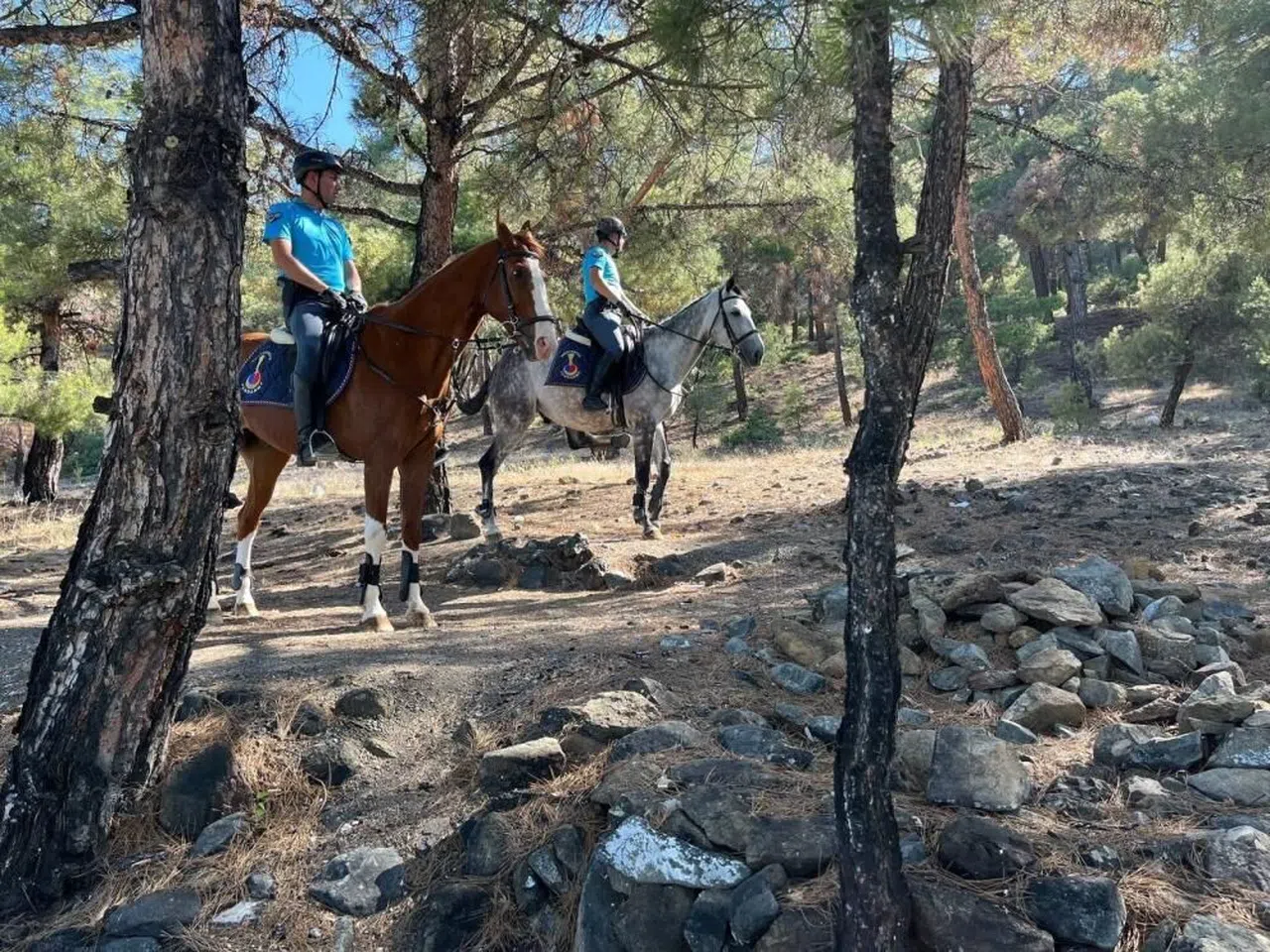 Burdur'da ormanlık alana girişler yasaklandı