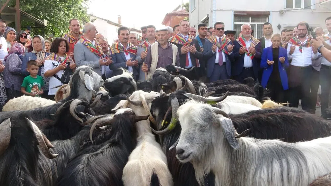 400 yıldır süren "Geleneksel Kurban İndirme Geleneği" gerçekleştirildi