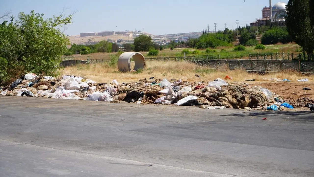 Kurban Bayramı sonrasında mide bulandıran görüntüler