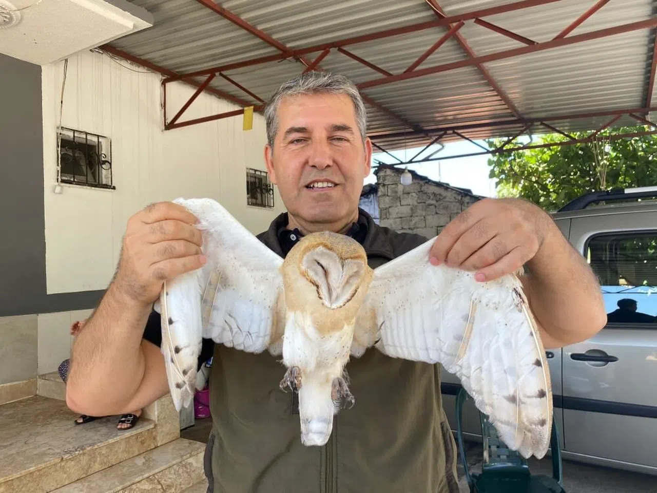 Evin bahçesinde peçeli baykuş bulundu