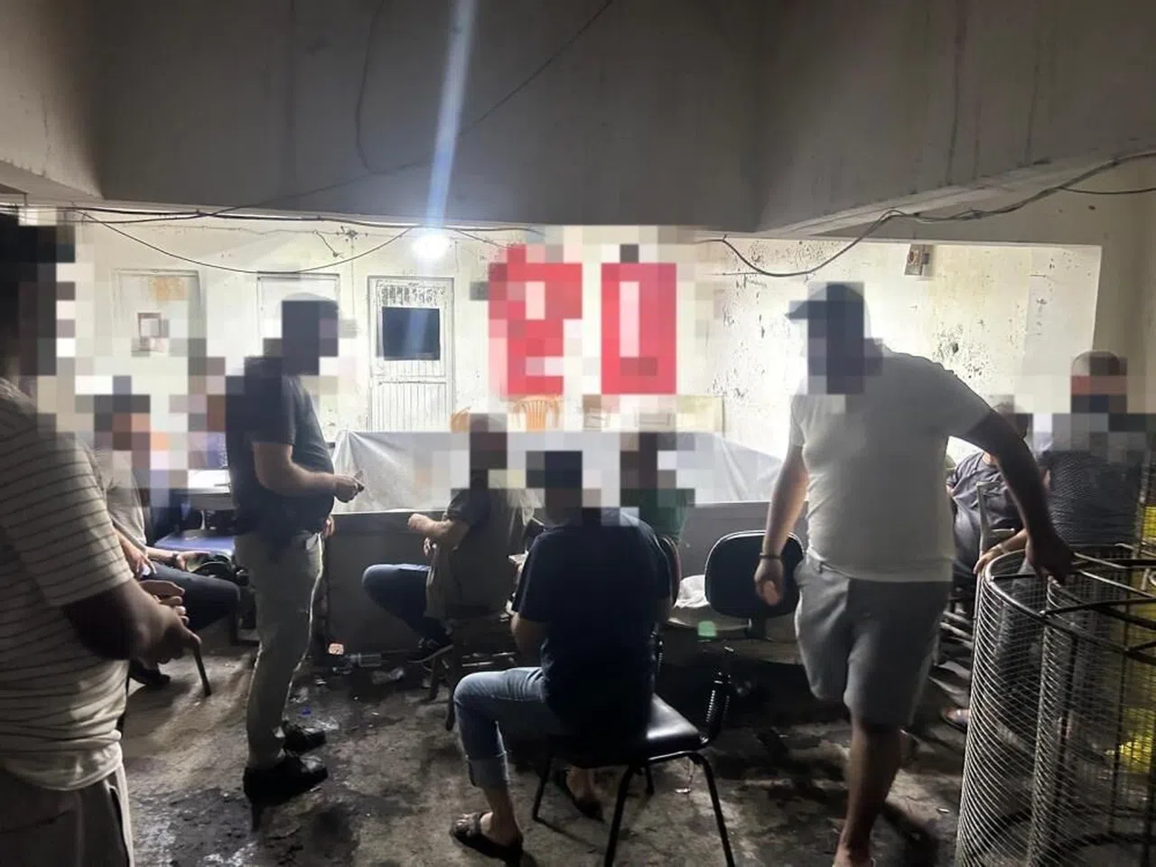 Yasadışı horoz dövüştüren 15 şahsa 96 bin TL ceza