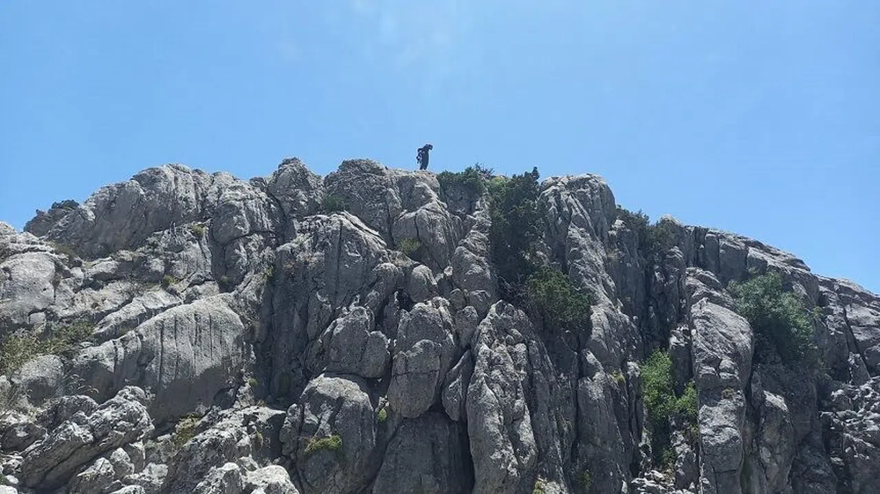 Kahramanmaraş'ta Mahsur kalan küçükbaş hayvanlar kurtarıldı