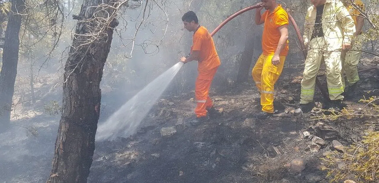 Orman yangını büyümeden kontrol altına alındı