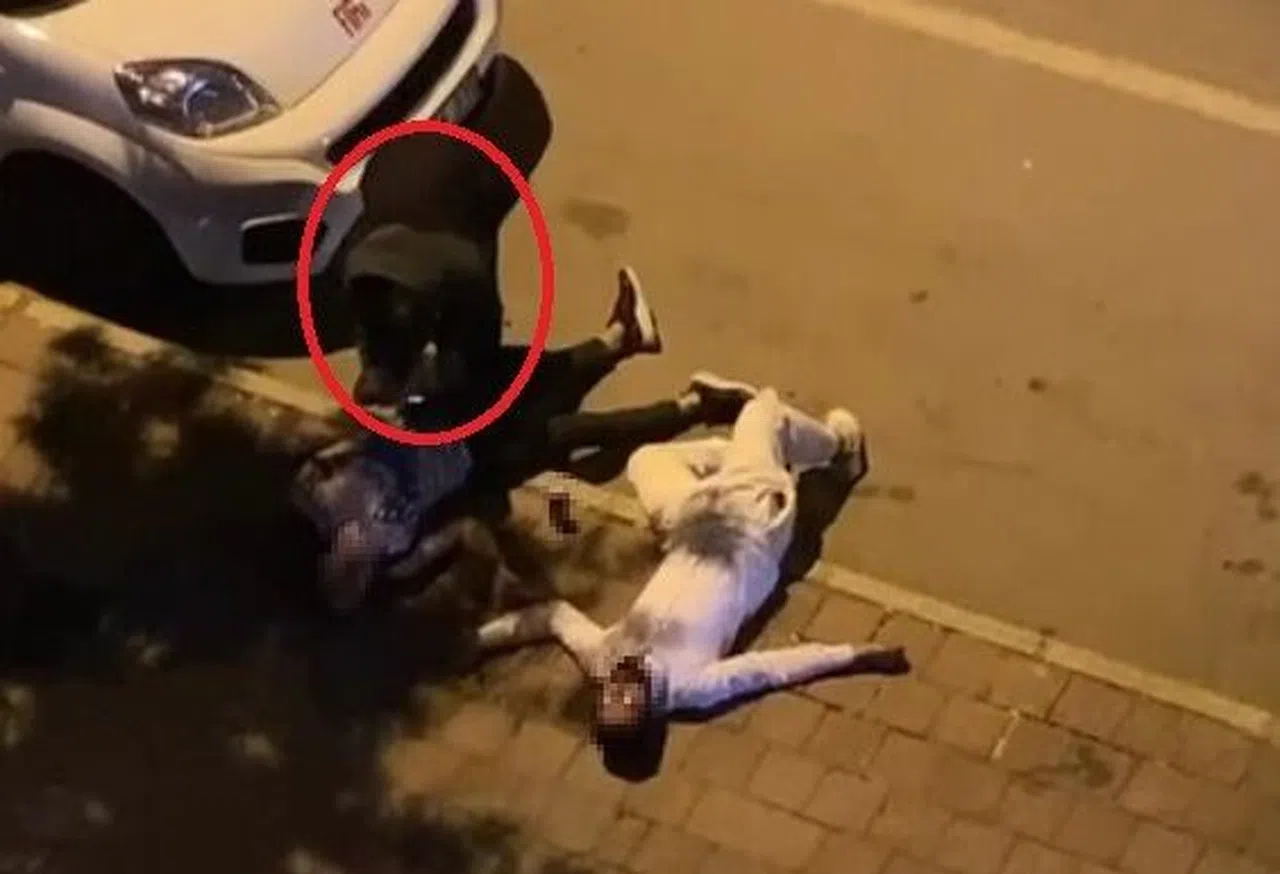 Alkol alıp kaldırımda sızdılar, ceplerinde kurcalanmadık yerleri kalmadı