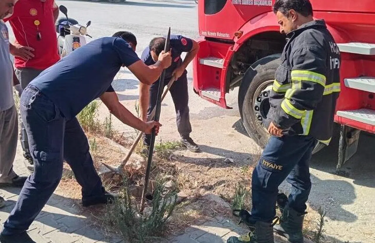 Rögara düşen köpeği itfaiye kurtardı