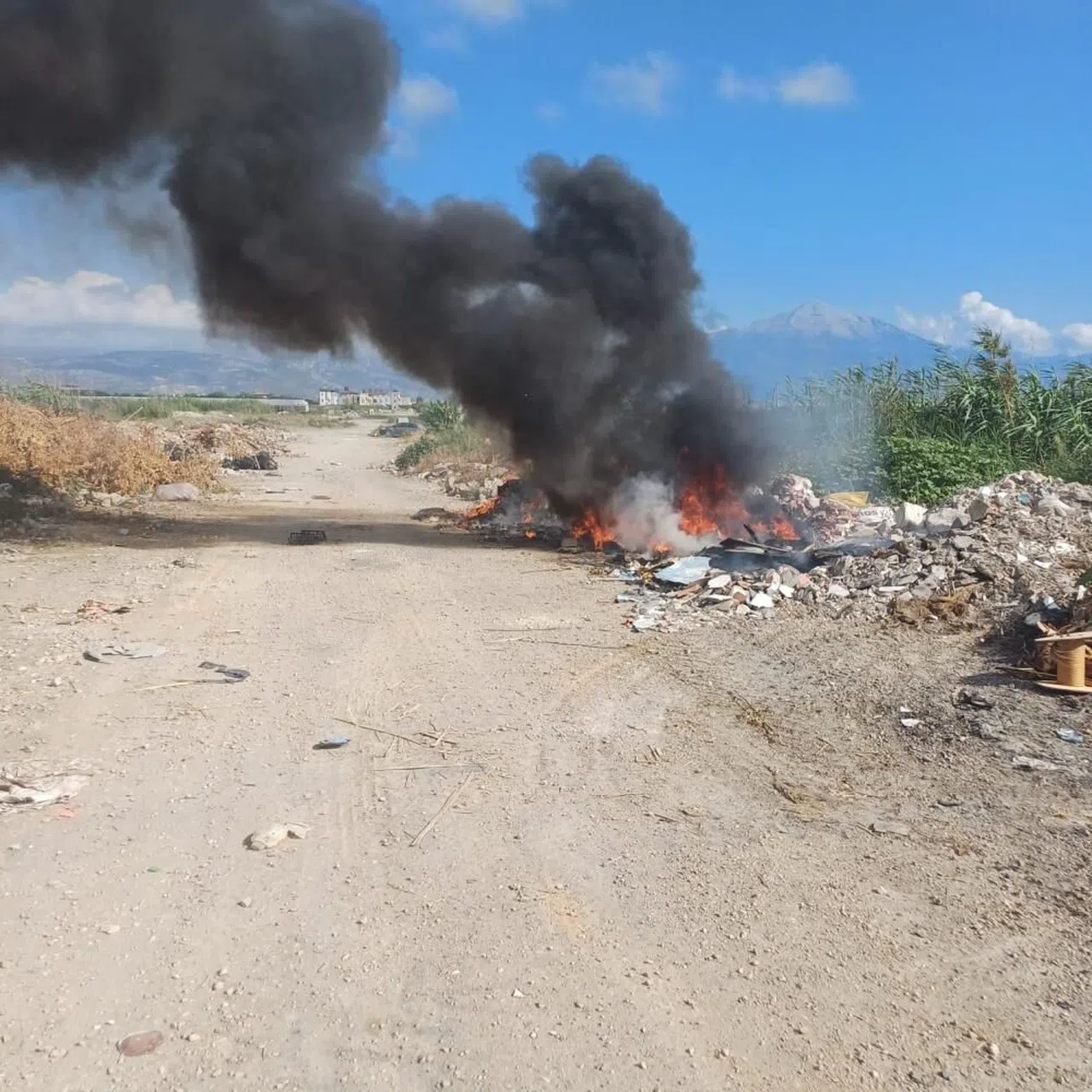 Samandağ'da Moloz Yangını yayılmadan söndürüldü