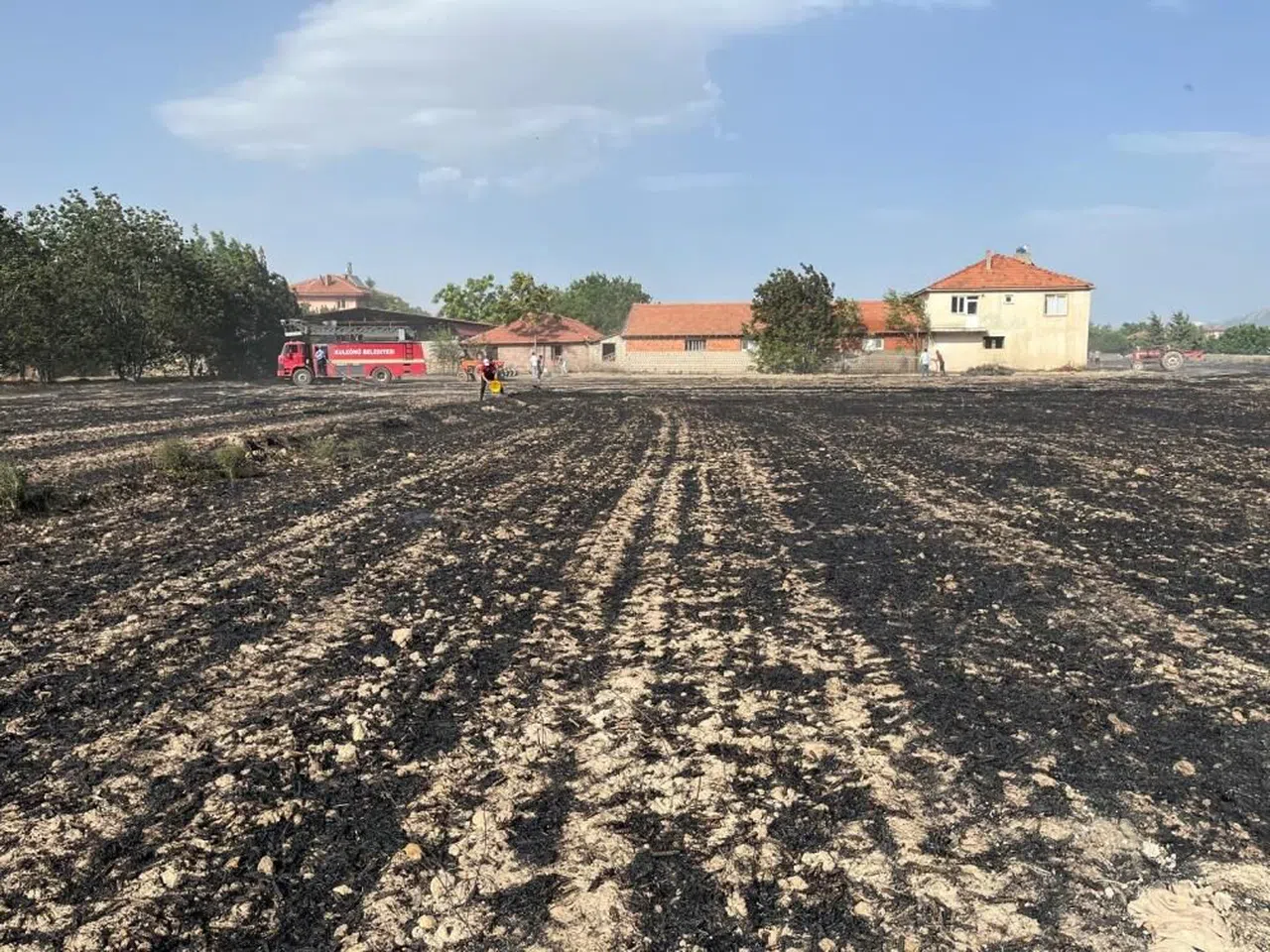 Çıkan yangında 80 dönüm tarım arazisi küle döndü