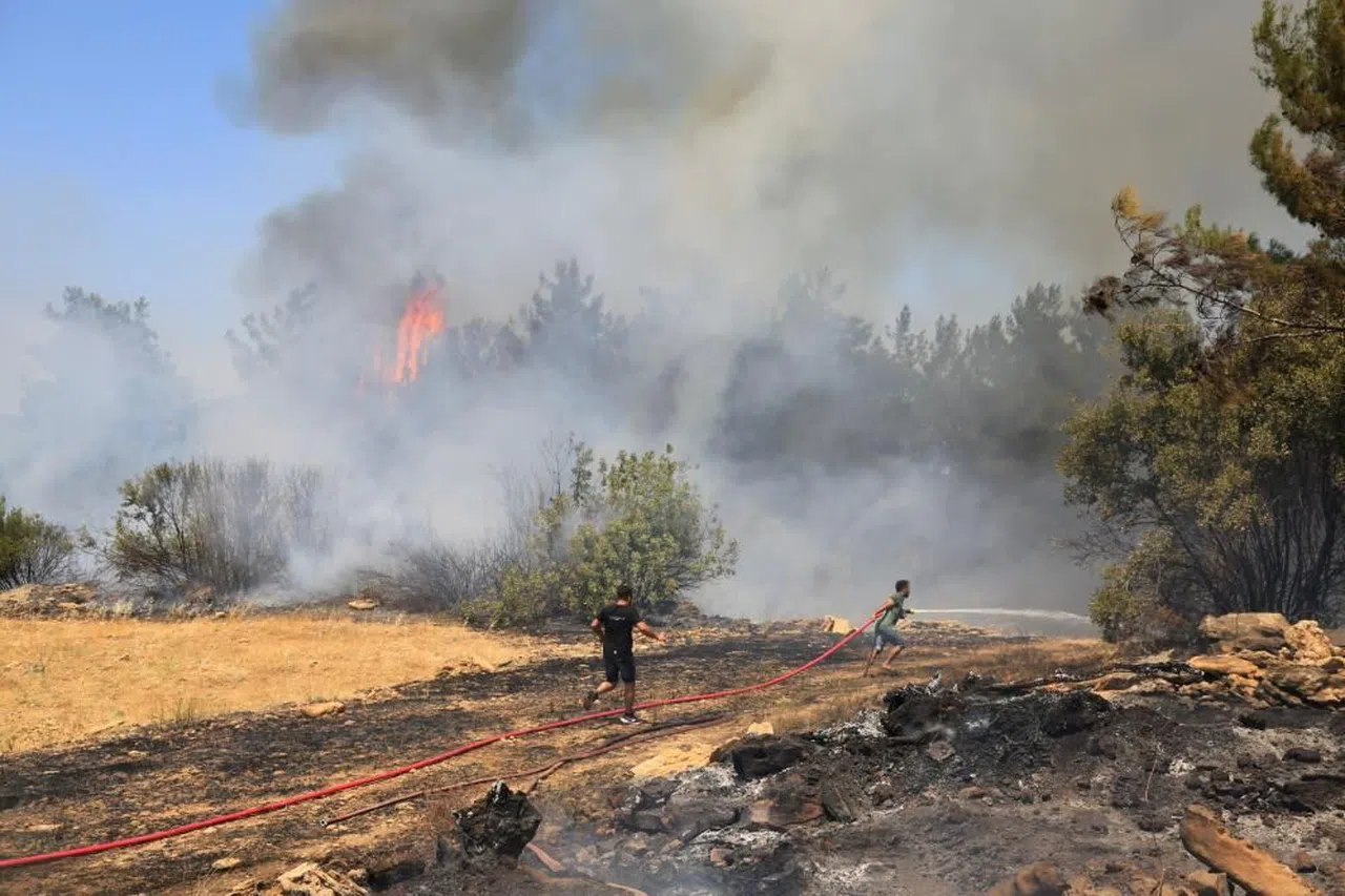 Antalya'da çıkan orman yangınında seralar büyük zarar gördü