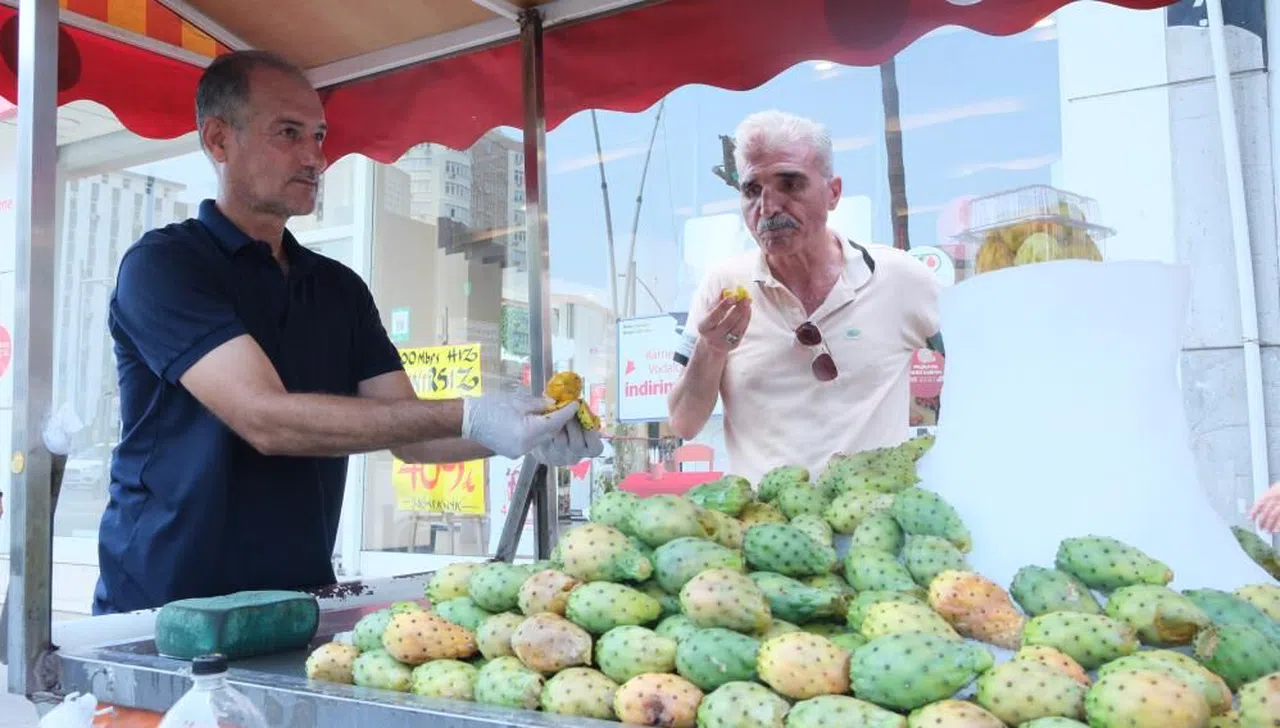 Vatandaşlar dikenli incir yiyerek serinliyor