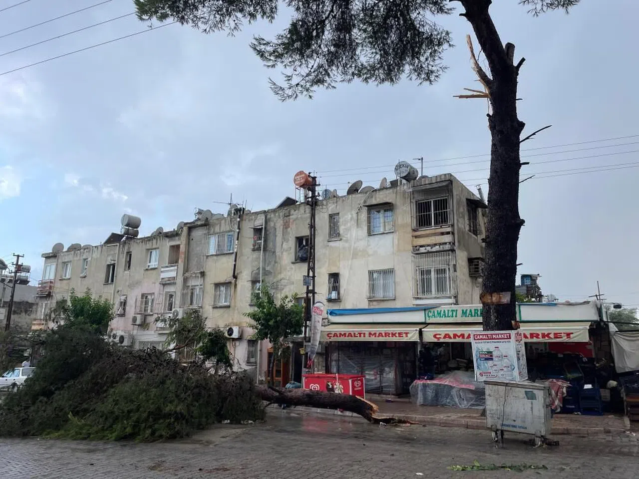 Şiddetli yağmur ve rüzgar ağaçları kökünden söktü, vinci devirdi