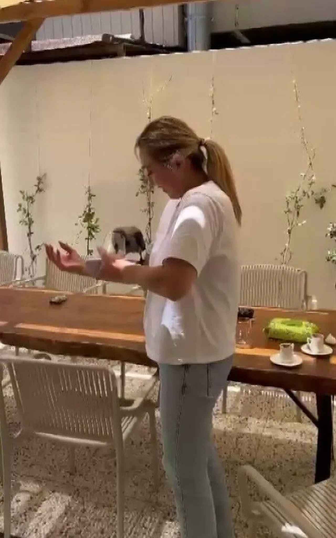 Antalya 'da Sıcaktan bunalıp omzuna konan kargaya bardakla su ikramı