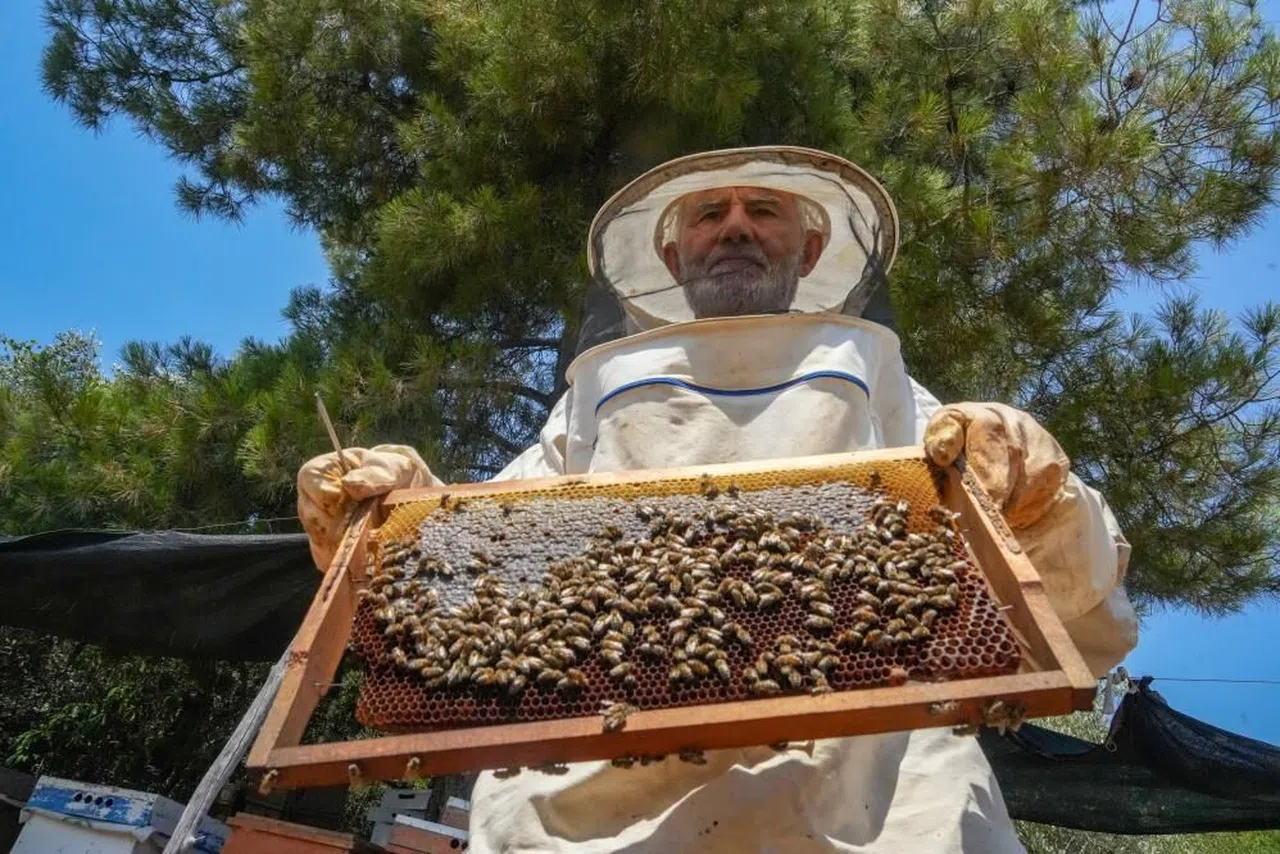 Antalya 'da Oğlunun ölümünün ardından arıcılık mesleğiyle hayata tutundu
