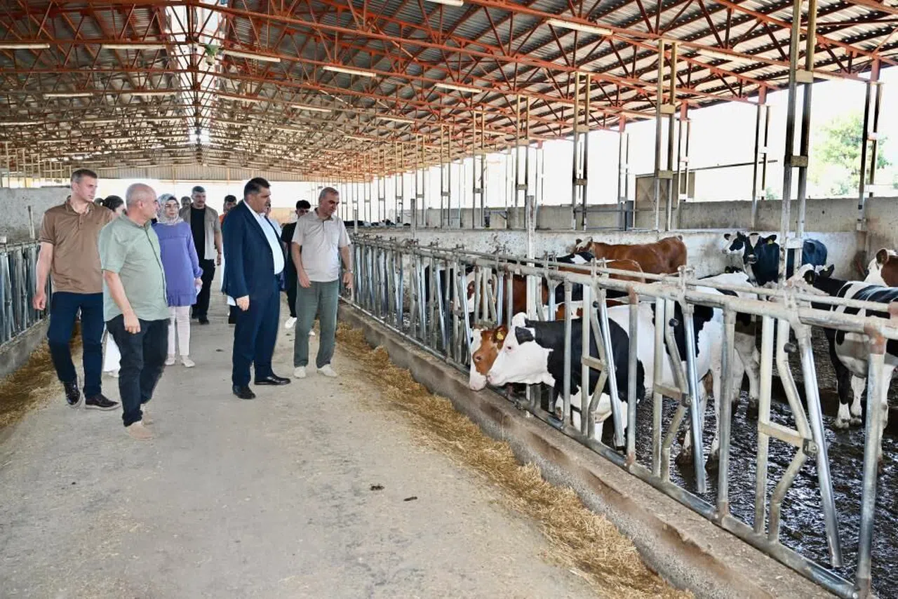 Kahramanmaraş 'da Çiftçilik ve hayvancılıkla uğraşan vatandaşlara  seminer