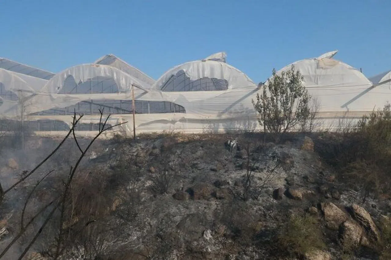 Etkili olan yangın seraları ve ormanlık alanı etkiledi