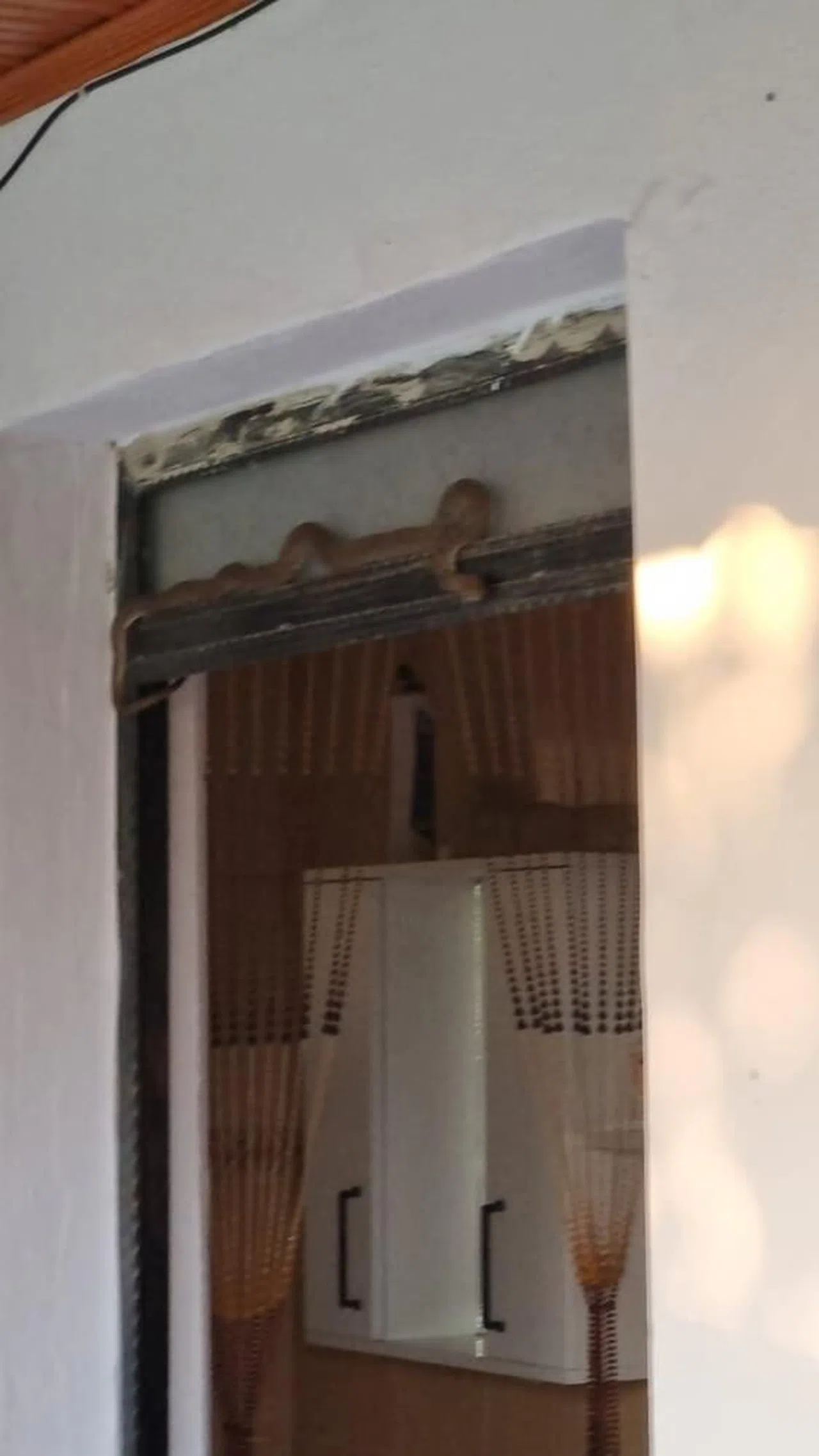 Eve giren yılan paniğe neden oldu