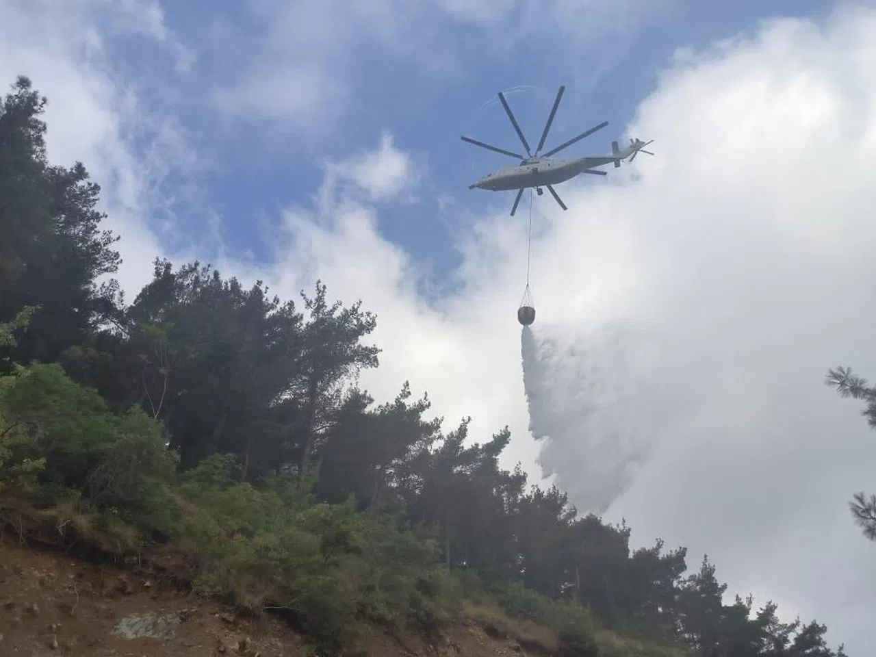 Hatay'ın Arsuz ilçesinde  orman yangını