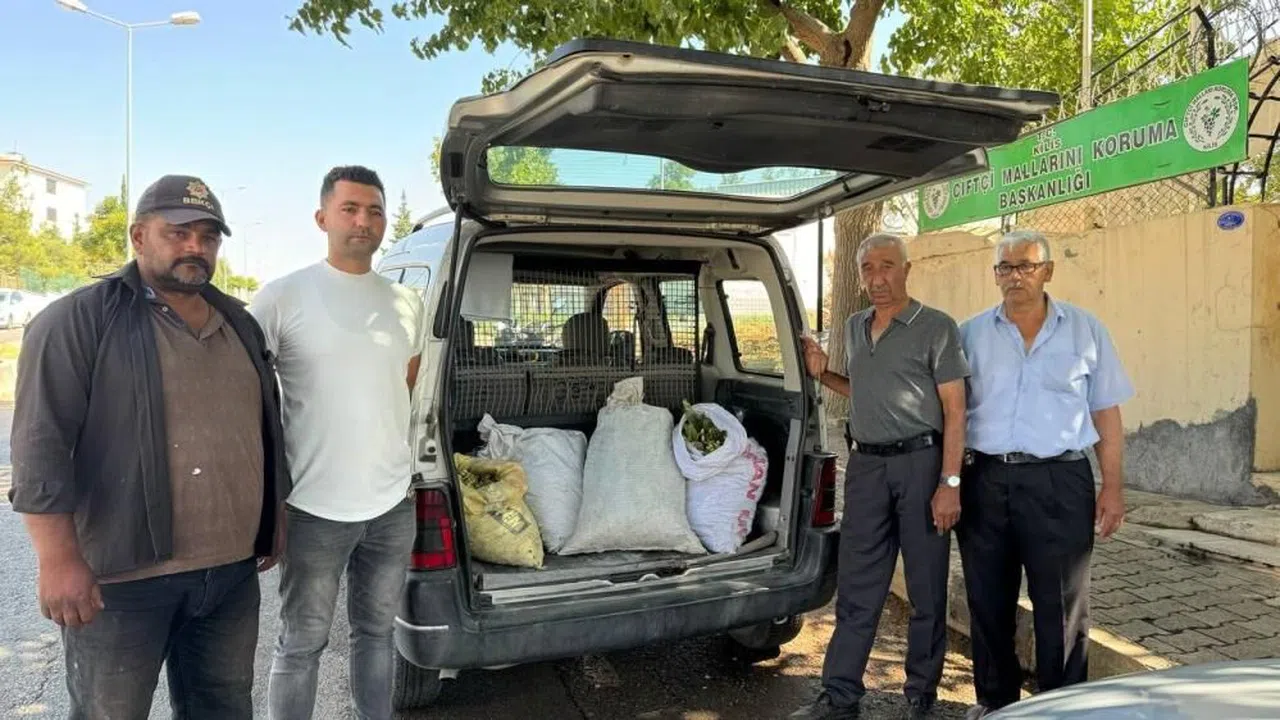 Kilis 'de Fıstık hırsızları kıskıvrak yakalandı