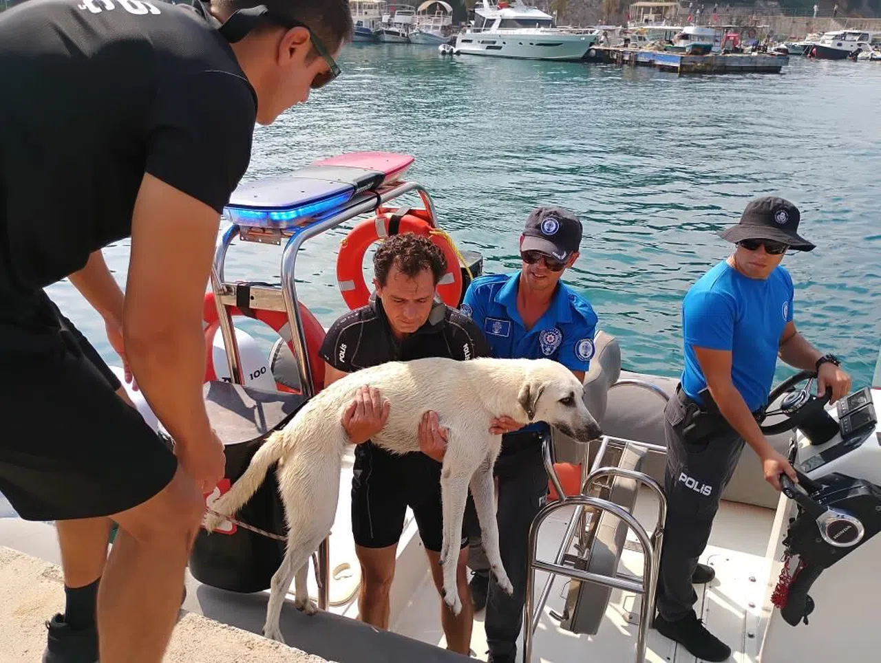 Antalya 'da Deniz polisinden yürekleri ısıtan sokak köpeği kurtarma görevi