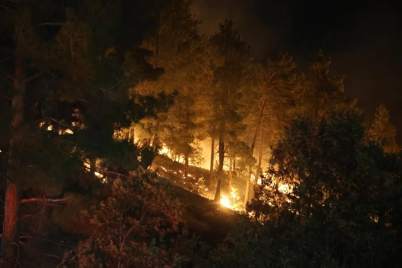 Kahramanmaraş’ta orman yangını kontrol altına alındı