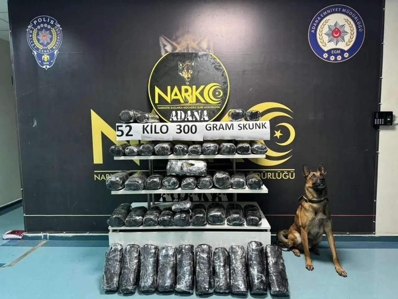 Dedektör köpeği 'Oscar' 52 kilo 300 gram skunk buldu