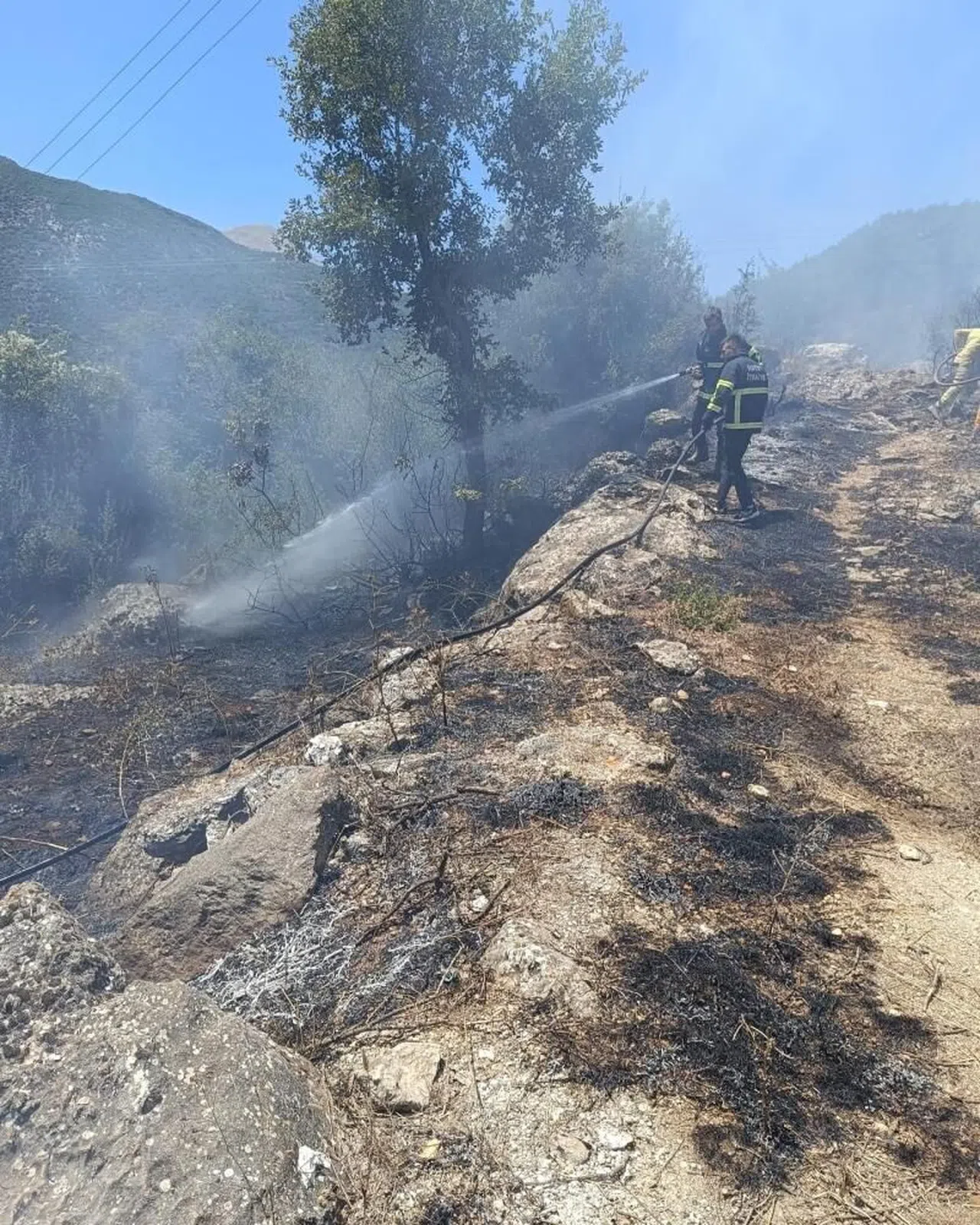 Hatay Yayladağı’nda orman yangını