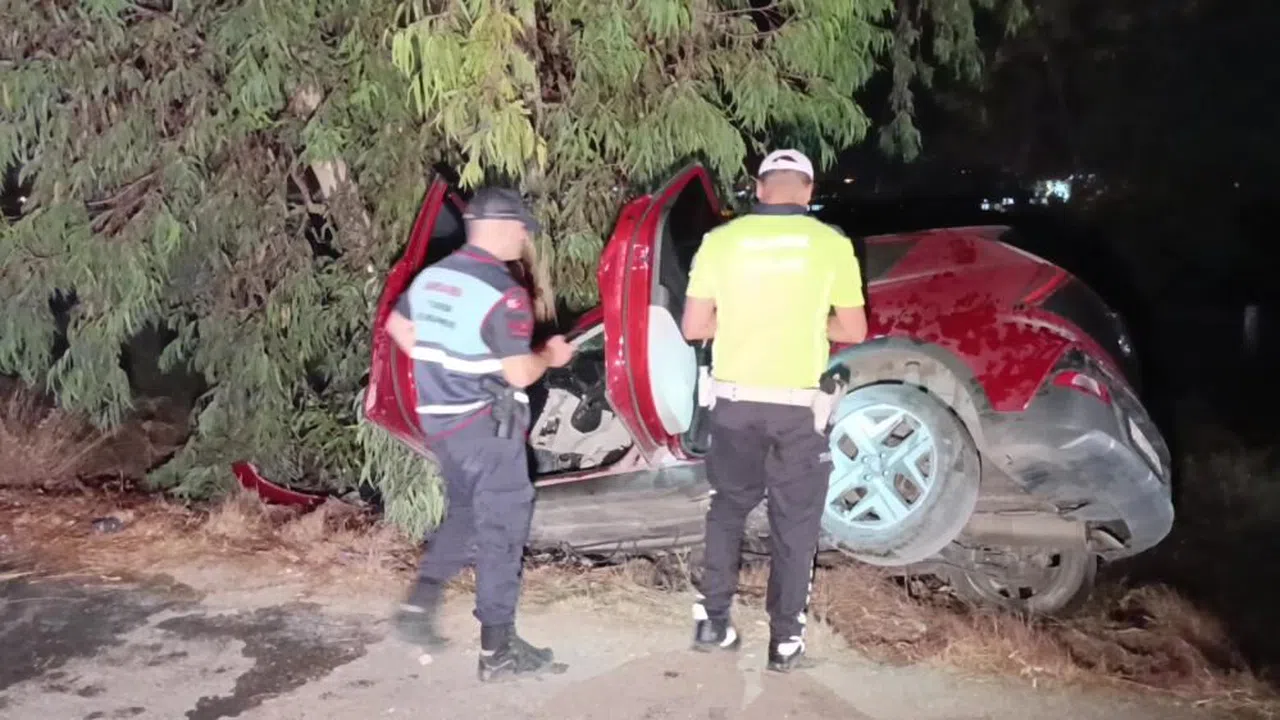 Antalya 'da Otomobil ağaca çarptı, 2 kişi ağır yaralandı